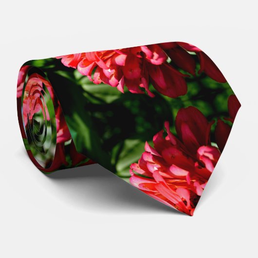 Zinnia corail avec cravate bourdon (Roulé)