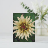 Zinnia Flower Briefkaart (Staand voorkant)