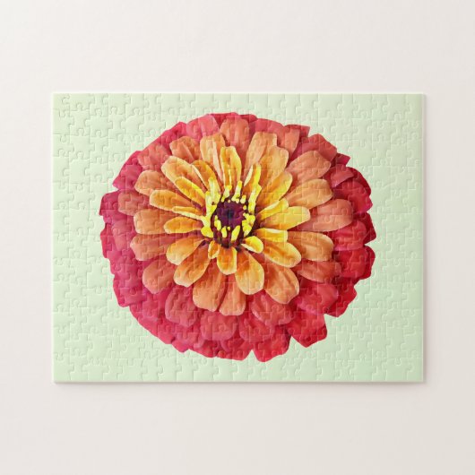 Zinnia in tinten van Sinaasappel Legpuzzel (Horizontaal)
