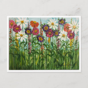 Zinnia, Madeliefje, Aster Bloemen Ansichtkaart Briefkaart