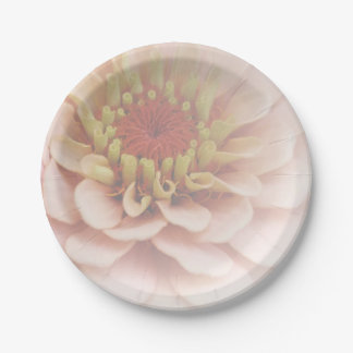 Zinnia Papier Borden Bleek Peach Papieren Bordje