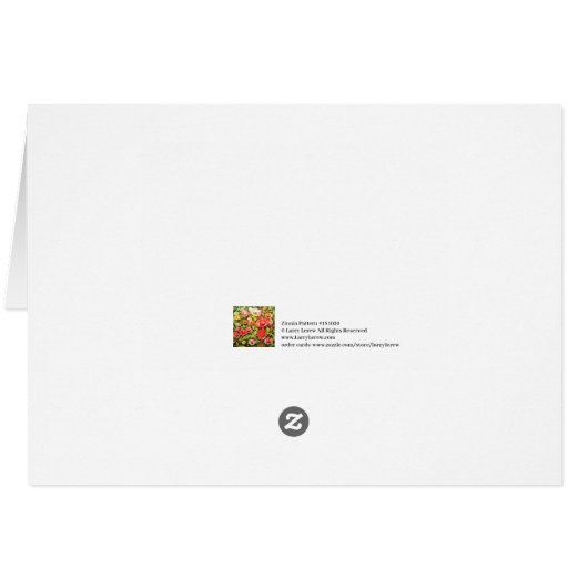 Zinnia Pattern #181020 (Achterkant Horizontaal)