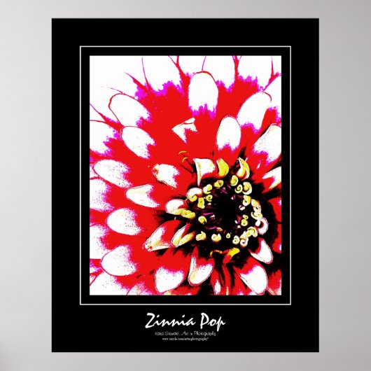 Zinnia Pop Poster (Voorkant)