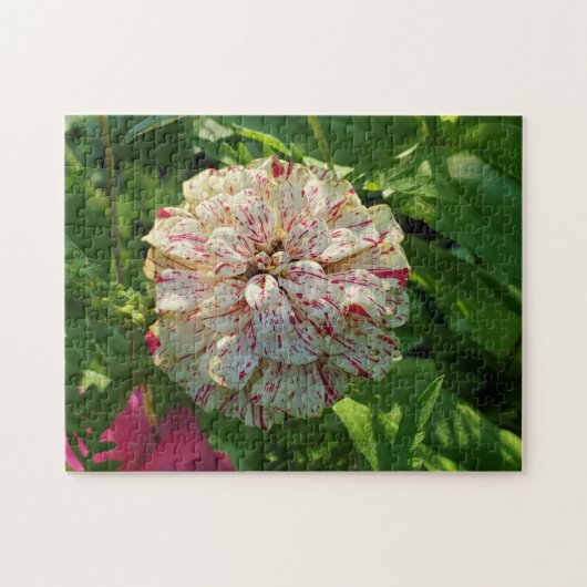 Zinnia Puzzle Legpuzzel (Horizontaal)