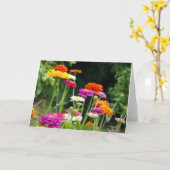 "Zinnias 5." Carte de vœux (Fleur jaune)