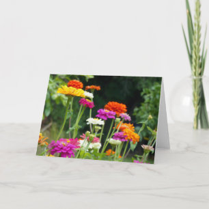 "Zinnias 5." Carte de vœux