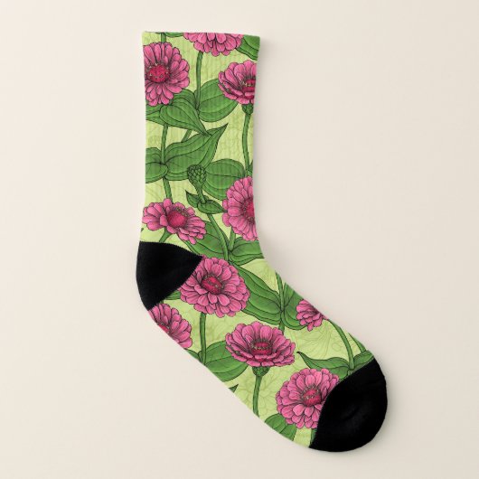 Zinnias rose sur vert clair (Gauche intérieur)
