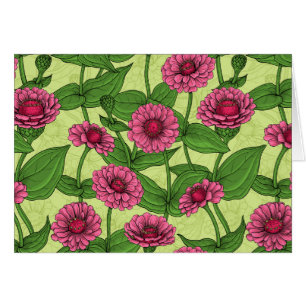 Zinnias rose sur vert clair