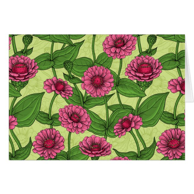 Zinnias rose sur vert clair (Devant horizontal)