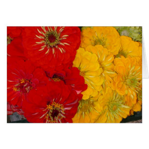 Zinnias rouges et jaunes