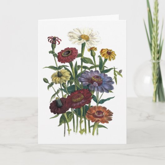 Zinnias Waterverf wordt snel gezond Kaart (Voorkant)