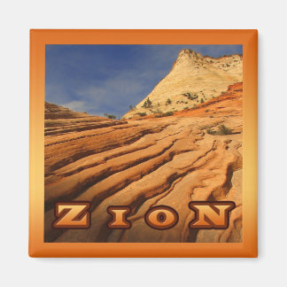 Zion Beauty Magneet