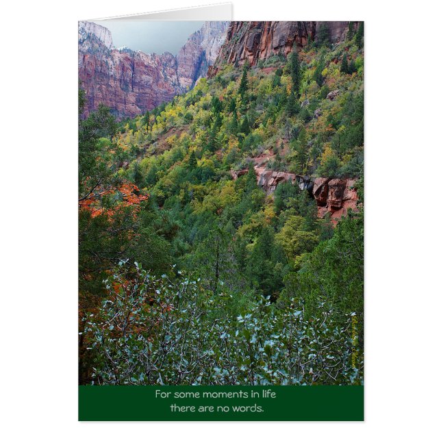 Zion Canyon: Bereiding (Voorkant)