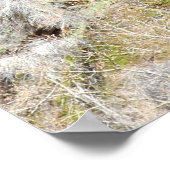 Zion Canyon Poster (Hoek)