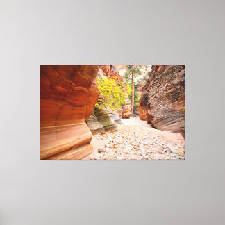 Zion Canyon Slot Canvas Afdruk