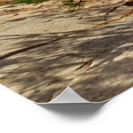 Zion Canyon Uitzicht van Angels Landing Poster (Hoek)