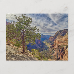 Zion Canyon uitzicht vanaf Angels Landing Briefkaart