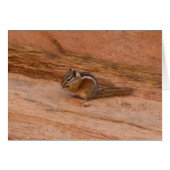 Zion Chipmunk op Red Rocks (Voorkant Horizontaal)