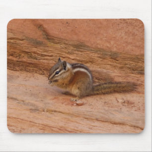 Zion Chipmunk op Red Rocks Muismat