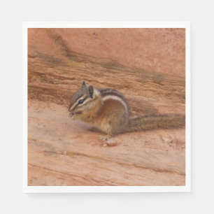 Zion Chipmunk op Red Rocks Servet