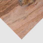 Zion Chipmunk op Red Rocks Tissuepapier (Detail)