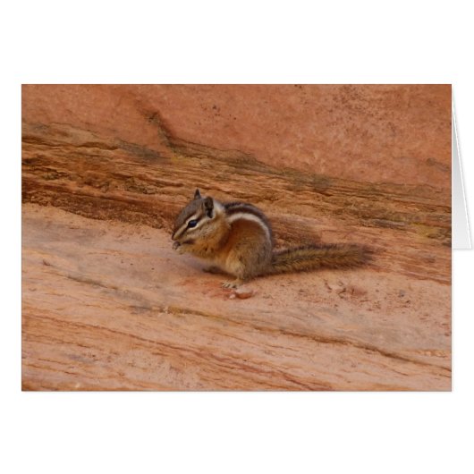 Zion Chipmunk sur Red Rocks (Devant horizontal)