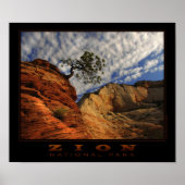 Zion Lone Tree Poster (Voorkant)
