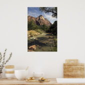 Zion Mountain Stream poster (Keuken)