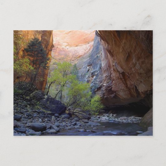 Zion Narrows Briefkaart (Voorkant)