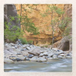 Zion Narrows Glazen Onderzetter