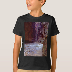 Zion Narrows rijdt door de rivier in Zion Narr T-shirt