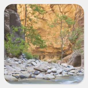 Zion Narrows Vierkante Sticker