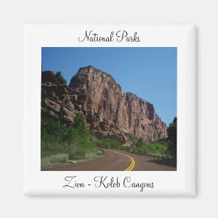 Zion National Park Magnet Magneet