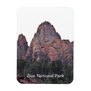 Zion National Park Magnet Magneet