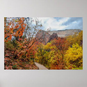 Zion National Park Trail, Utah Poster