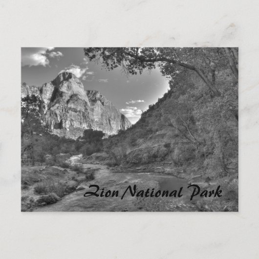 Zion National Park, UT Carte postale (Devant)