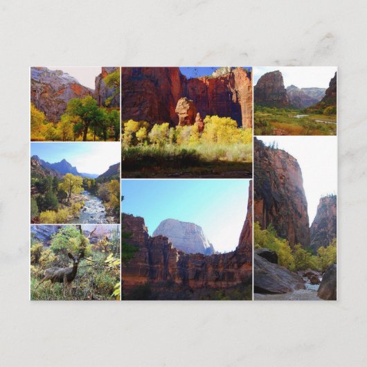 Zion National Park, Utah, Collage Briefkaart (Voorkant)