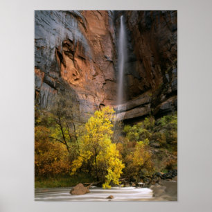Zion National Park, Utah. Verenigde Staten. Epheme Poster