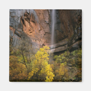 Zion National Park, Utah. VS. Efemeer Magneet