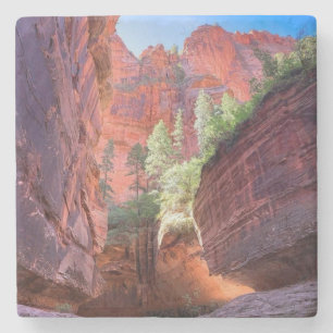 Zion National Park, Utah, VS Stenen Onderzetter