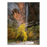 Zion National Park, Utah. VS. Vergankelijk