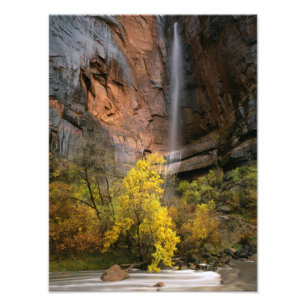 Zion National Park, Utah. VS. Vergankelijk Foto Afdruk
