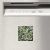 Ziplining Magnet! Magneet (Insitu (Vaatwasser))