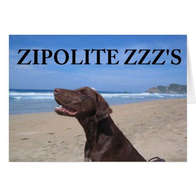 ZIPOLITE ZZZZ'S (Voorkant Horizontaal)