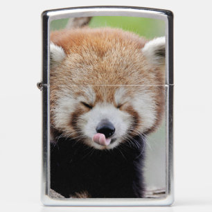 Zippo aansteker Foto rode panda, dieren 0617.