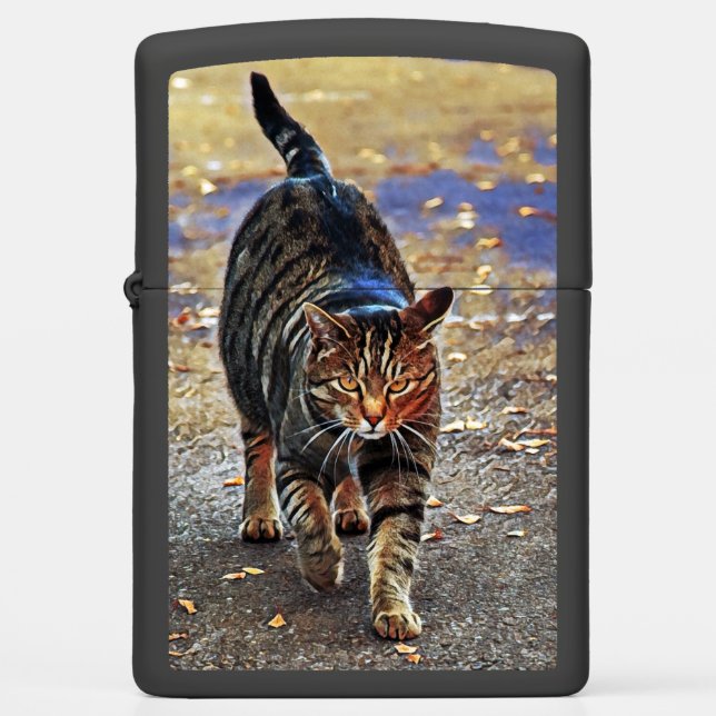Zippo Lighter schattige cat (Voorkant)