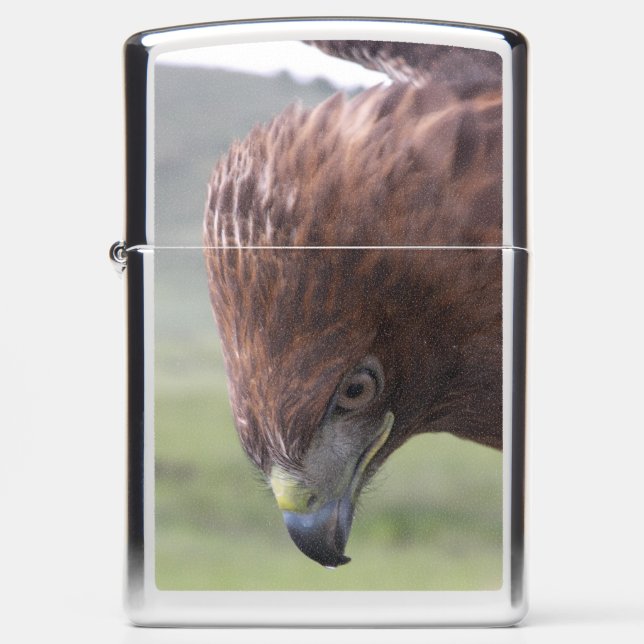 ZIPPO LIGHTER VROUW RED TAILED HAWK (Voorkant)