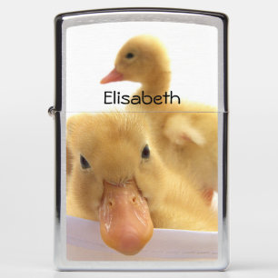 ZIPPO Pocket Lighter ducking van geborsteld Chrome