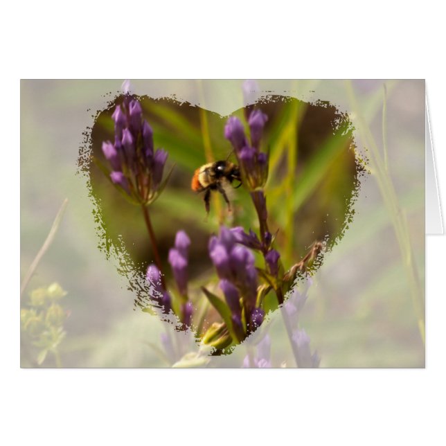 Zippy Bee ; aucun texte (Devant horizontal)