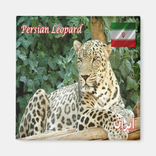 zIR006 PERSIAN LEOPARD, Iran, Azië, Fridge Magneet